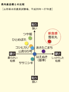 雪若丸と他の品種との比較