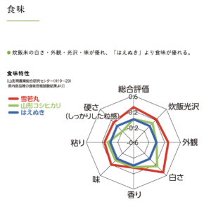 雪若丸・はえぬき・コシヒカリの比較チャート