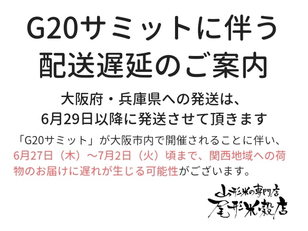 G20による配送遅延